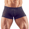 Transparente Herren-Pants in samtiger Ausbrenner-Optik von Svenjoyment – Ansicht 2