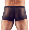 Transparente Herren-Pants im 2er-Pack in Strumpfhosenqualität von Svenjoyment – Ansicht 4