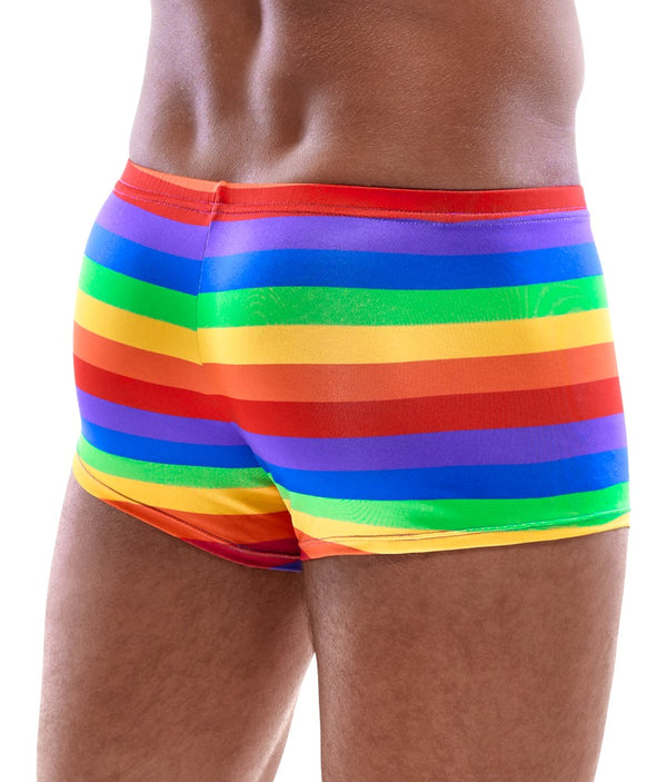 Bunte Herren-Pants mit Regenbogen-Streifen von Svenjoyment – Ansicht 3