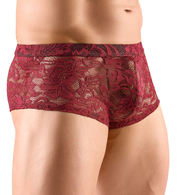 Transparente Herren-Pants aus dunkelroter floraler Spitze von Svenjoyment – Ansicht 3