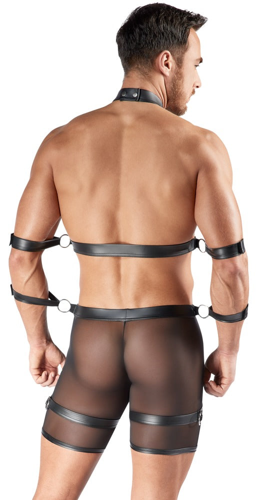 Schwarzes Herren-Set mit Harness-Pants, Brust-Harness und Fesseln von Svenjoyment BONDAGE – Ansicht 4