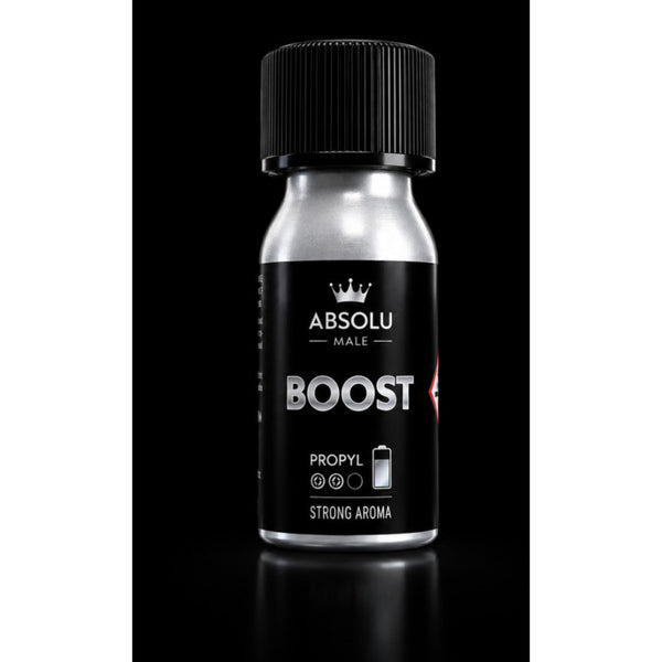 Boost Raumduft Grau von Absolu Male