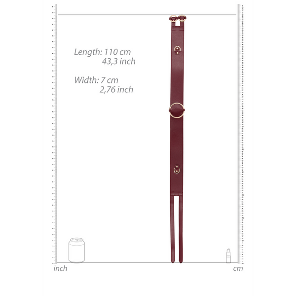 Rotes luxuriöses Taillenband mit glänzenden goldenen Elementen von Ouch! by Shots – Ansicht 6