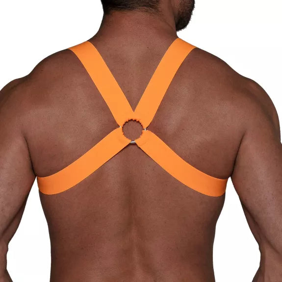 Herren Harness Neon Orange - Komfortabel & Stylisch | TOF Paris