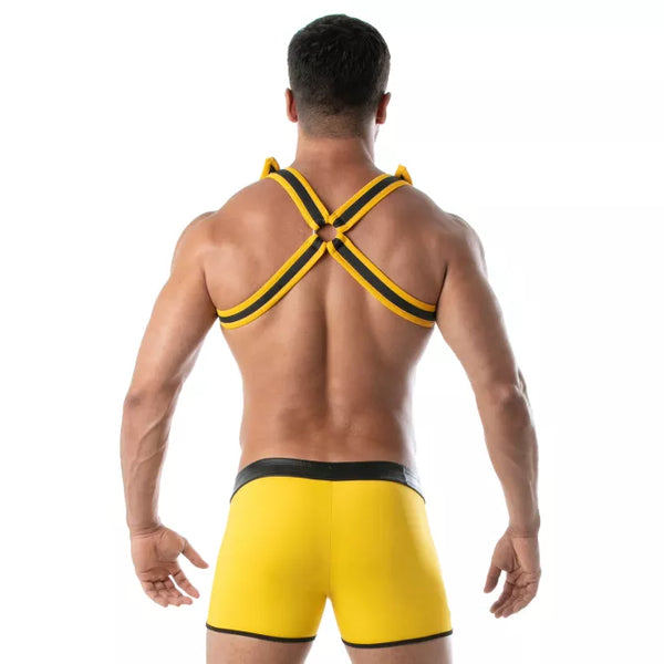 Gelbes Neoprene Bulldog Harness mit markantem Glanz von TOF Paris – Ansicht 2