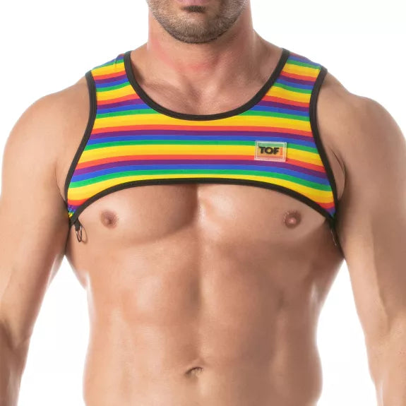 Herren Harness Rainbow - Bunter Stretch Komfort mit D-Ringen | TOF Paris