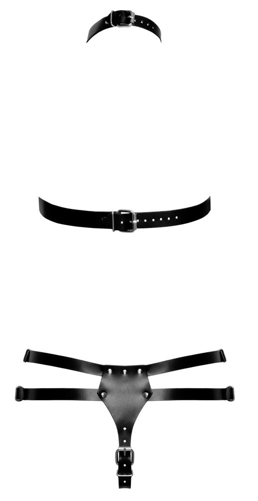 Aufwendig gearbeitetes Harness-Set aus Büffelleder von ZADO – Ansicht 7