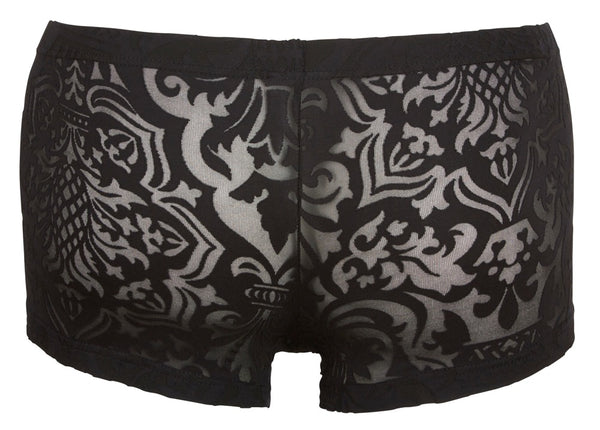 Transparente Herren-Pants in samtiger Ausbrenner-Optik von Svenjoyment – Ansicht 5