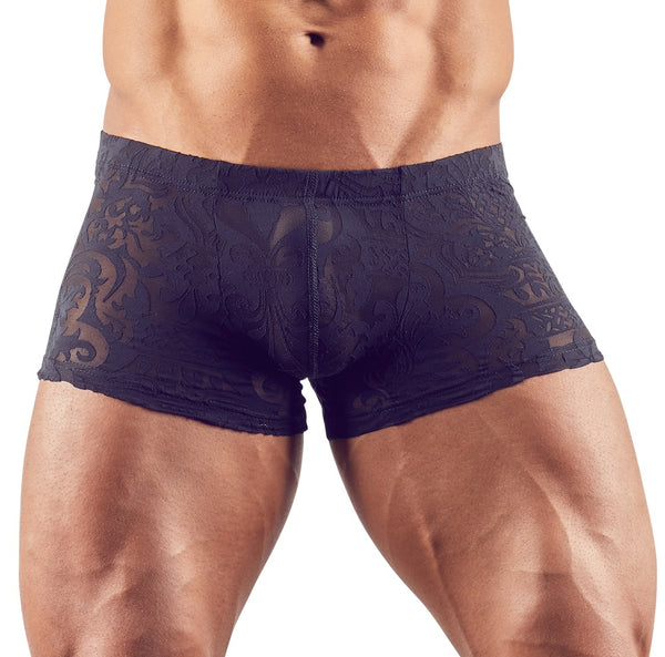 Transparente Herren-Pants in samtiger Ausbrenner-Optik von Svenjoyment – Ansicht 2