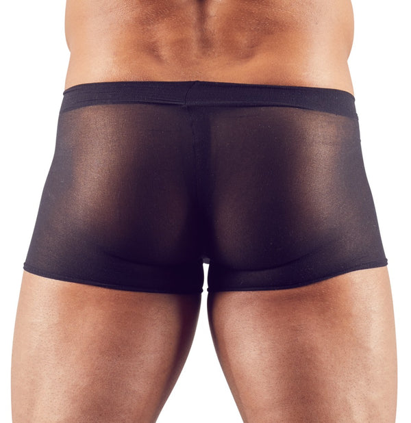 Transparente Herren-Pants im 2er-Pack in Strumpfhosenqualität von Svenjoyment – Ansicht 4