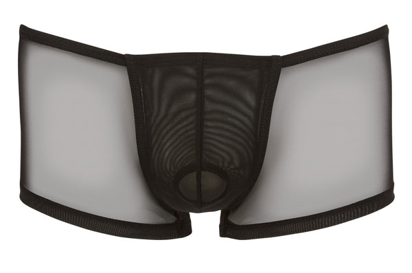 Semitransparente Herren-Pants mit Swellfunktion von Svenjoyment – Ansicht 6