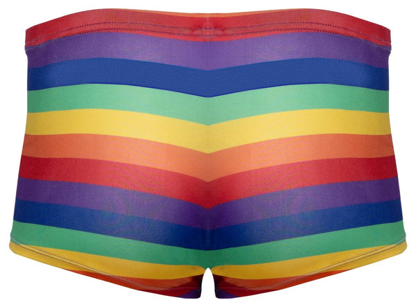 Bunte Herren-Pants mit Regenbogen-Streifen von Svenjoyment – Ansicht 6