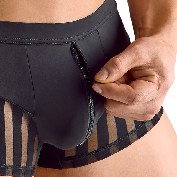 Schwarze Herren-Pants aus Mikrofaser mit transparenten Streifen-Einsätzen von Svenjoyment – Ansicht 6