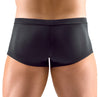 Schwarze Herren-Pants aus Mikrofaser mit transparenten Streifen-Einsätzen von Svenjoyment – Ansicht 4