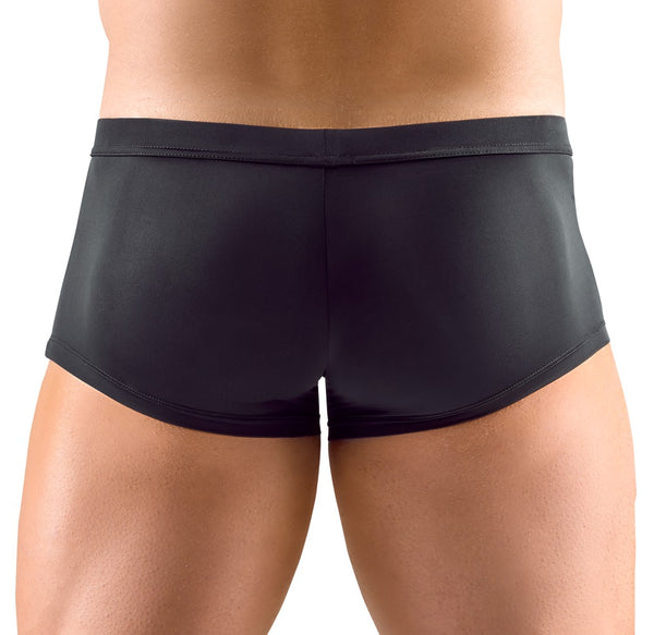 Schwarze Herren-Pants aus Mikrofaser mit transparenten Streifen-Einsätzen von Svenjoyment – Ansicht 4