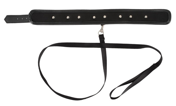 Vegane Halsfessel mit Leine in Leder-Optik mit Spikes von Vegan Fetish – Ansicht 5