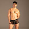Sheer Mesh Zip-Trunks Schwarz von KYNX: transparente Trunks mit metallenem Zip, Nahaufnahme am Model