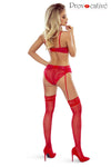 Wetlook Dessous-Set mit Spitzendetails und Bügel-BH | Provocative