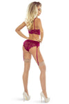 Elegantes Dessous-Ensemble mit Spitze und Netzstoff, Bügel-BH | Provocative