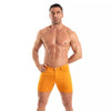 Orangene kurze Chinoshorts mit figurbetontem Schnitt | TOF Paris