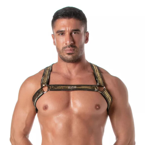Herren Harness Gold Glitzer - Elastisch, Verstellbar & Komfortabel | TOF Paris