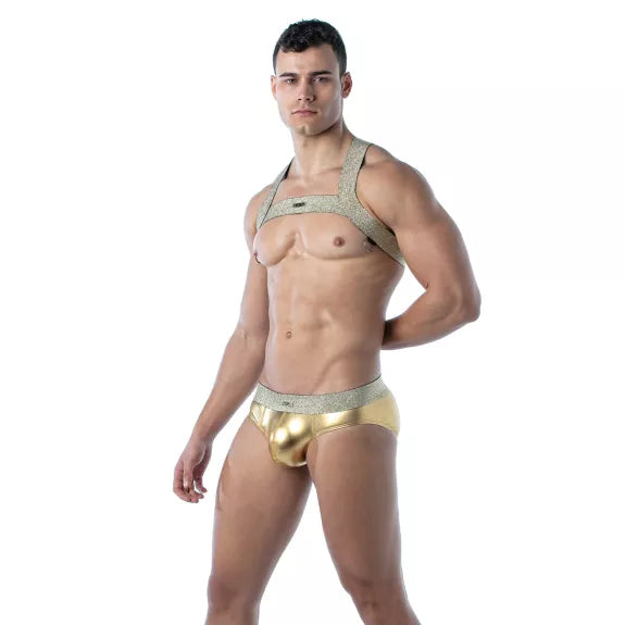Party-Harness H-Form Gold - Elastisch, Komfortabel & Glänzend | TOF Paris