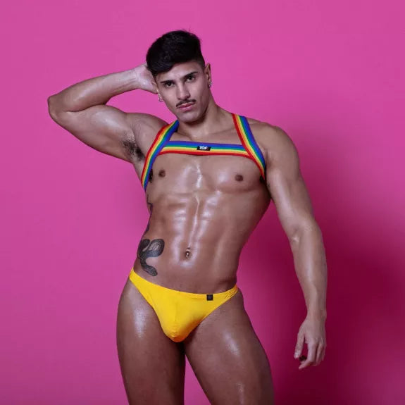 Herren Brustgeschirr Rainbow - elastisch, bunt & stylisch | TOF Paris